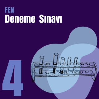 4. e-YÖKDİL Fen Denemesi